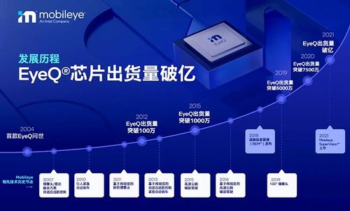 信息系統集成服務市場變動 駕駛輔助系統芯片供應商出貨量破億與朋友圈縮水的挑戰